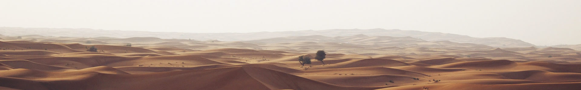 ҰسƼ޹˾